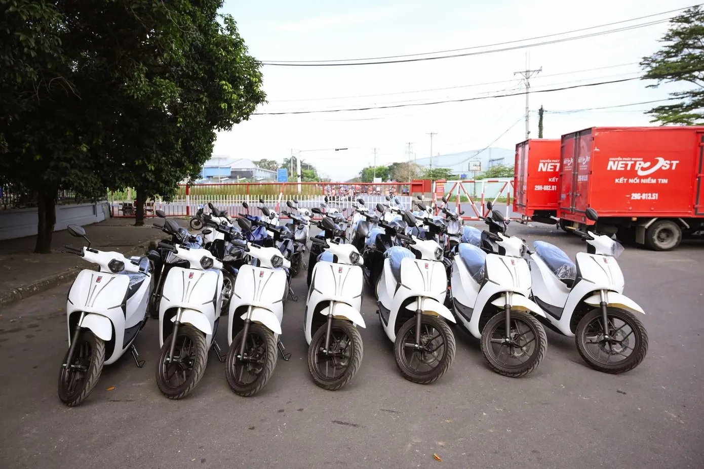 Hàng trăm khách hàng đổ về Dat Bike nhận xe Quantum S-series: Cơn sốt chưa từng có